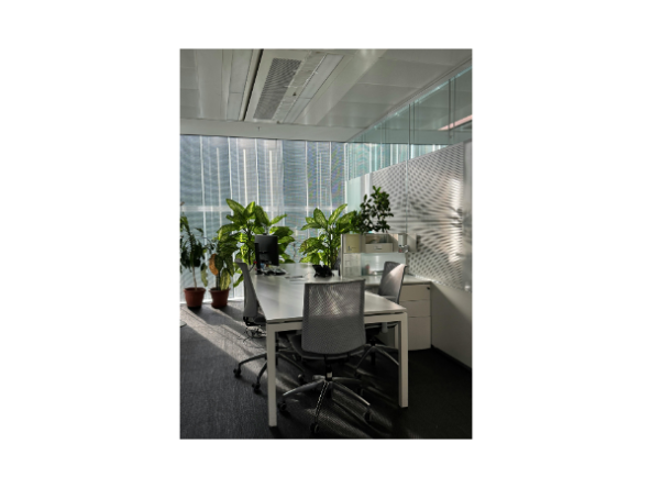 Green-certified office space